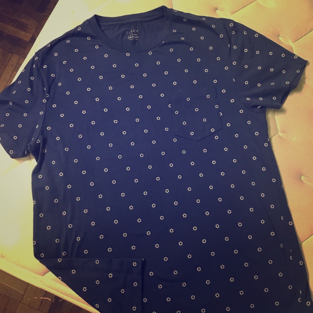 J crew Men T shirt (Medium)